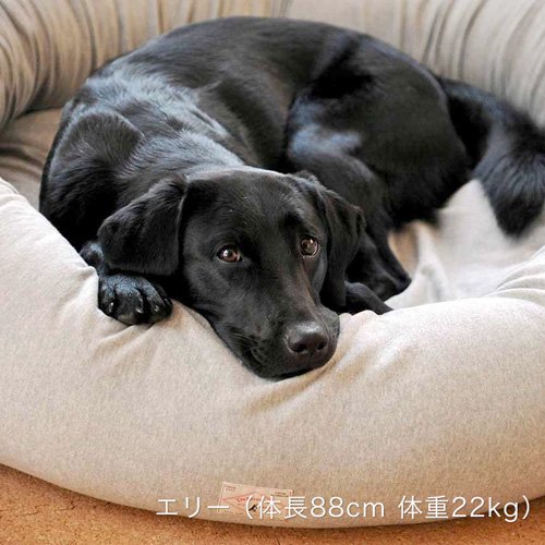 オーガニックコットン犬用ベッド - Lサイズ｜犬用ベッド｜DeLoreans