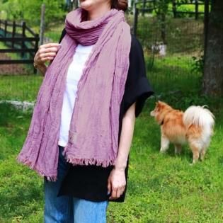 DeLoreans�Ž������ȡ���Ϥ�����ξ��ʲ���