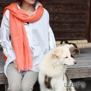 DeLoreans�Ž������ȡ���Ϥ�����ξ��ʲ���