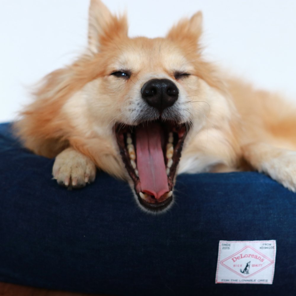 オーガニックコットン犬用ベッド デニムｍ お散歩バッグ 犬用ベッド オリジナルブランド Deloreans