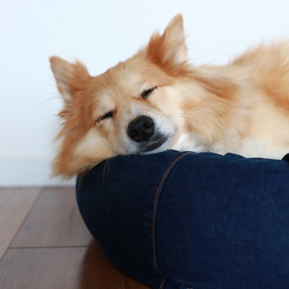 オーガニックコットン犬用ベッド デニムM｜DeLoreans