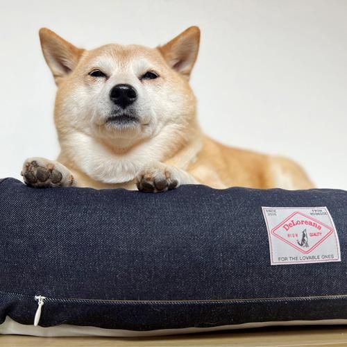 新品未使用 デザインデニム xu dog rick owens pctokyo 新品未使用 デザインデニム xu dog rick owens pctokyo