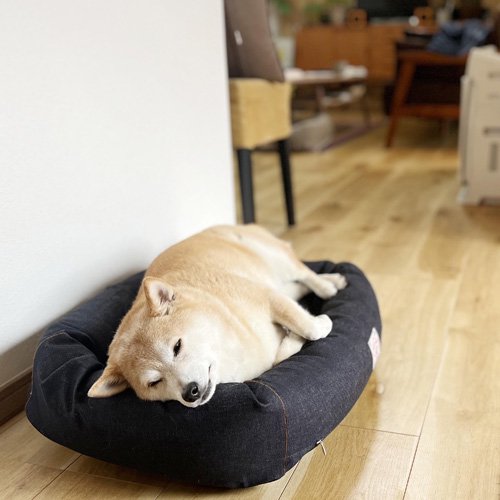 オーガニックコットン犬用ベッド デニムS - お散歩バッグ・犬用ベッド 