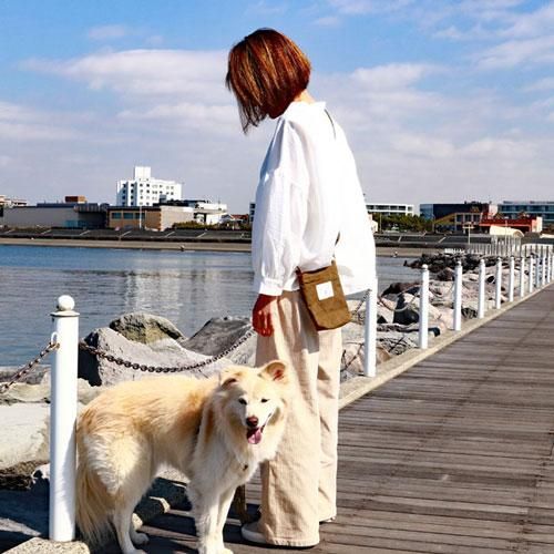 DeLoreansスマホポーチ - お散歩バッグ・犬用ベッド、オリジナル