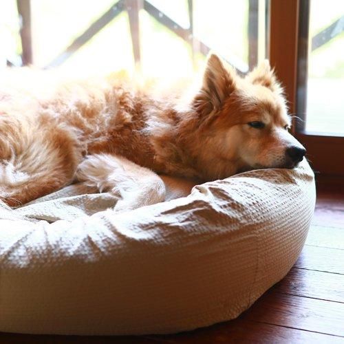 犬用ベッドひんやり替えカバー - DeLoreans｜お散歩バッグ・犬用