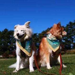 DeLoreans10ǯǰХʤξʲ