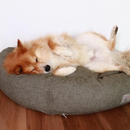 オーガニックコットン犬用ベッド - Mサイズ｜犬用ベッド｜DeLoreans