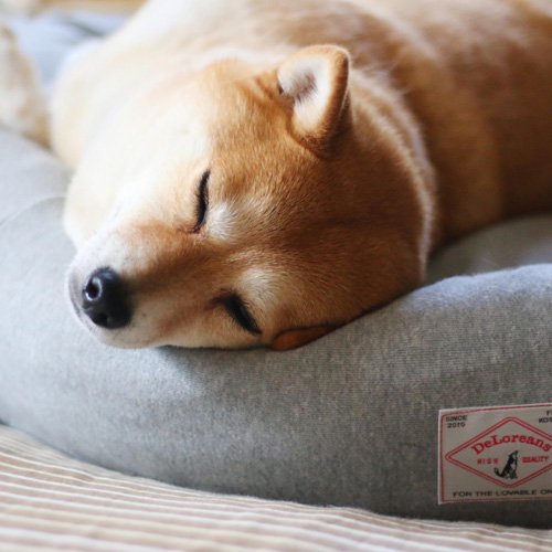 オーガニックコットン犬用ベッド - Sサイズ｜犬用ベッド｜DeLoreans