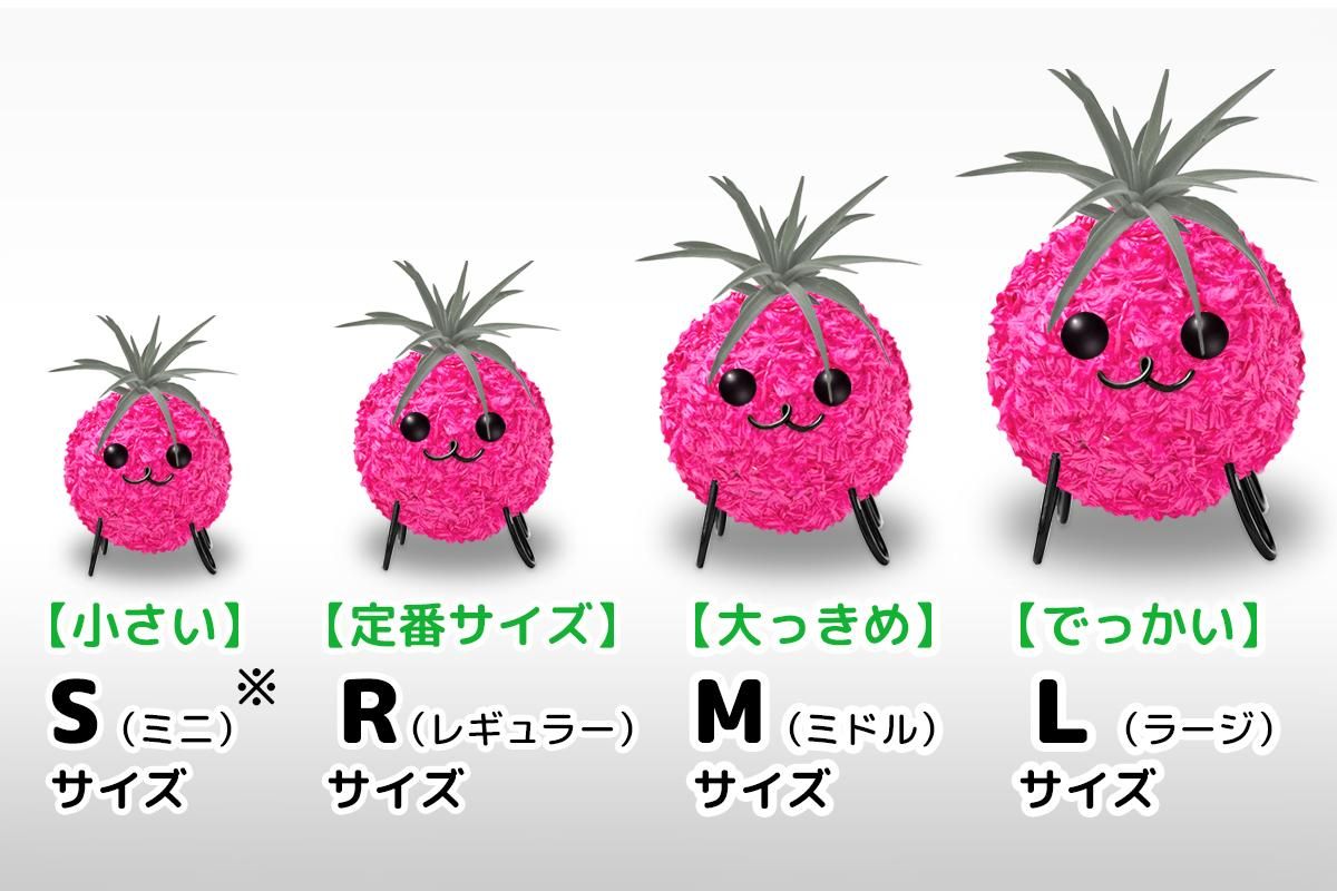 アート水苔大巻（200m）いちご（赤） | 植物育成撚糸『アート水