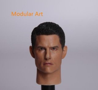 ͽ 1/6 Modular Art MA011 ȥࡦ롼 إå