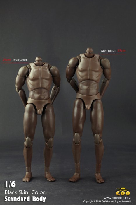 1/6 COOMODEL B3401B /B3402B Muscle male 2016最新版 黒人 男性素体