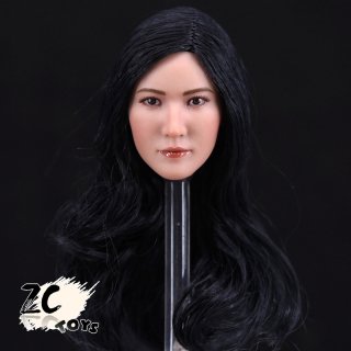 1/6 ZCTOYS T003   ֥åإ إå