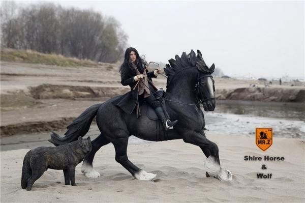 1/6 MR.Z Shire Horse SH001 イングランド シャイヤー馬と