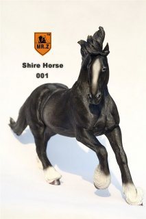 1/6 MR.Z Shire Horse SH001 󥰥 㥤䡼Ϥȥϡͥå