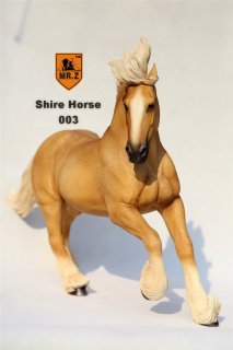 1/6 MR.Z Shire Horse SH003 󥰥 㥤䡼Ϥȥϡͥå