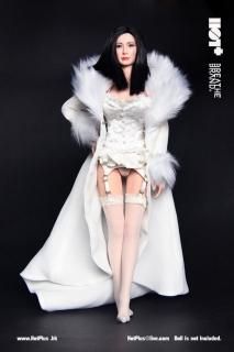 <img class='new_mark_img1' src='https://img.shop-pro.jp/img/new/icons1.gif' style='border:none;display:inline;margin:0px;padding:0px;width:auto;' />1/6 HotPlus HP025  졼 Ρۥ磻 ɹν 󥸥꡼ ʥȥå