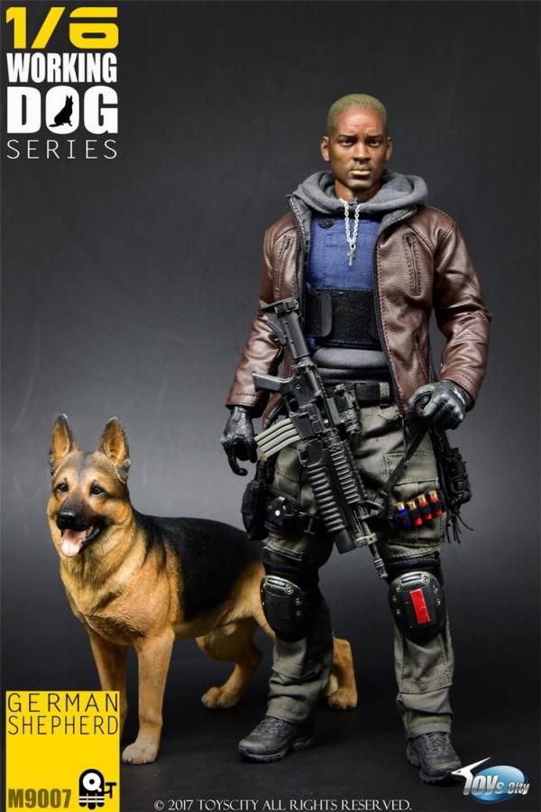 1/6 ToysCity TC-M9007 WORKING DOG SERISE - GERMAN SHEPHERD