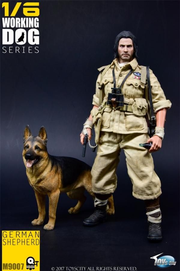 1/6 ToysCity TC-M9007 WORKING DOG SERISE - GERMAN SHEPHERD 1/6 ToysCity TC-M9007 WORKING DOG SERISE - GERMAN SHEPHERD