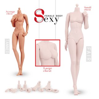 ͽ 1/6 Sexy  Rubber Joint FEMALE BODY Ķϡե쥹ܥǥإåɥ쥹  Ŵ¤