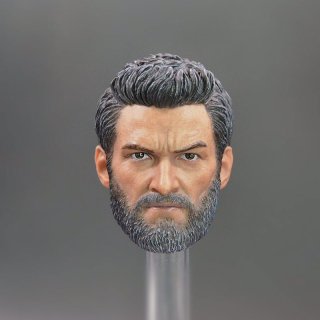 1/6 DIY X-MEN 10   ҥ塼åޥ   إå 