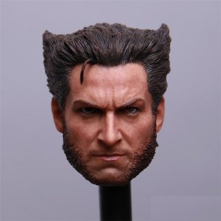 1/6 DIY X-MEN: ե塼㡼&ѥ   ҥ塼åޥ   إå 