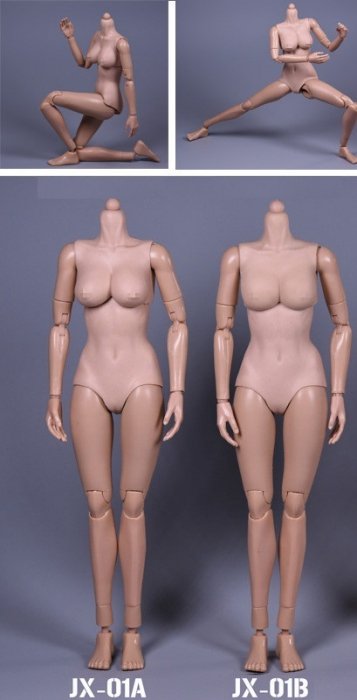 送料無料 1/6 JXTOYS JX-01A/B Female Body ペールカラー 白肌 女性素体ボディ - 1/6フィギュアの通販、予約なら  トイザキュート Since 2008