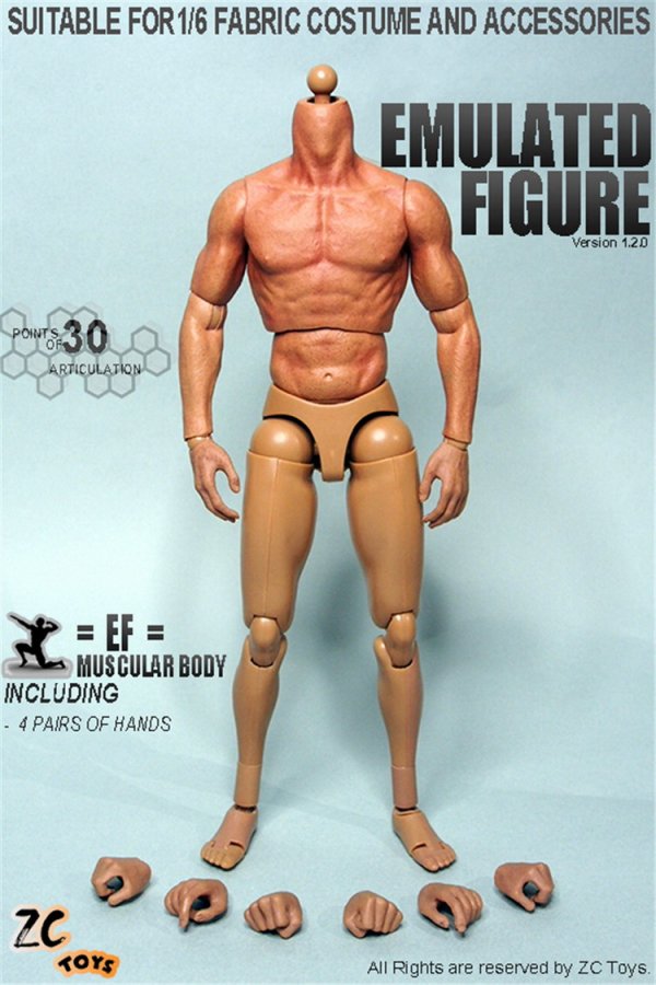 1/6 ZCTOYS Muscle male Body 2016最新版　男性素体 - 1/6フィギュアの通販、予約なら トイザキュート Since  2008