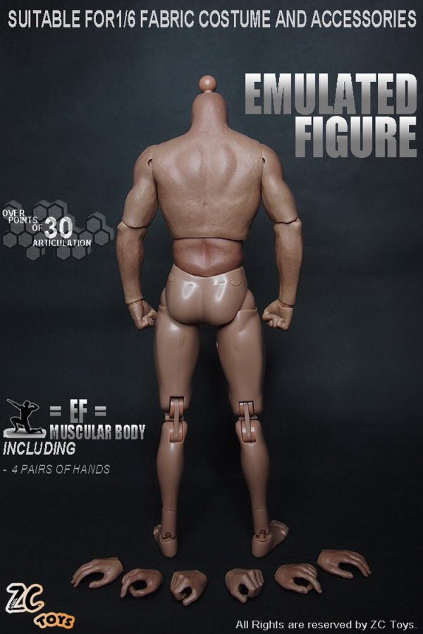 1/6 ZCTOYS Muscle male Body 2016最新版　男性素体 - 1/6フィギュアの通販、予約なら トイザキュート Since  2008