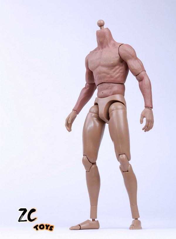 1/6 ZCTOYS Muscle male Body 2016最新版 男性素体 - 1/6フィギュアの