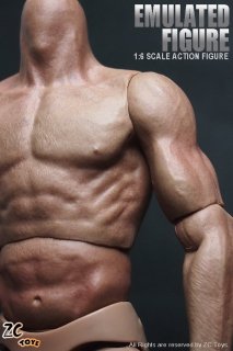 1/6 ZCTOYS  Muscle male Body  2016最新版　男性素体