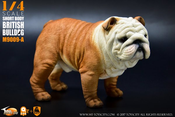 予約1/4 ToysCity M-9009 A/B/C/D Animal series British Bulldog