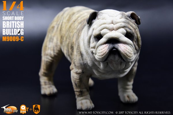 予約1/4 ToysCity M-9009 A/B/C/D Animal series British Bulldog