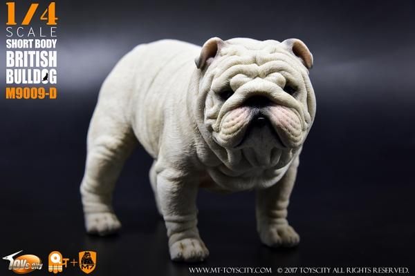 予約1/4 ToysCity M-9009 A/B/C/D Animal series British Bulldog