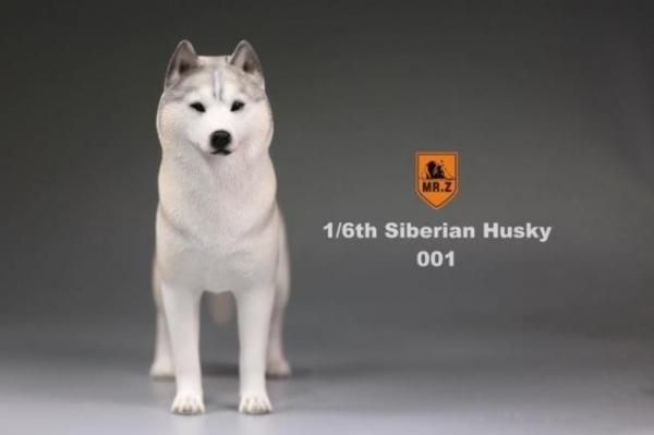 1/6 MR.Z シベリアン・ハスキー犬 - 1/6フィギュアの通販、予約