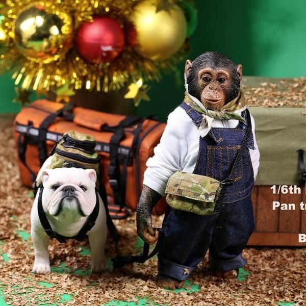 ブルドック　　セット 20180831_92ae27.jpg