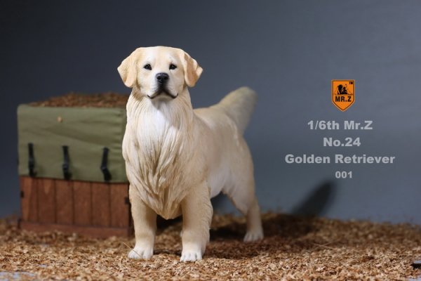 1/6 MR.Z No.24 Golden Retriever イギリス原産 大型犬 ゴールデン