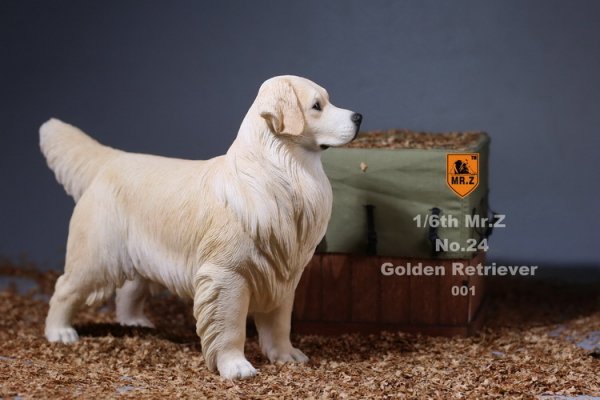 1/6 MR.Z No.24 Golden Retriever イギリス原産 大型犬 ゴールデン 