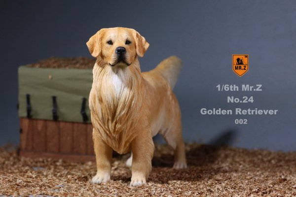 10％OFF 90年代 ゴールデンレトリバー Golden Retriever ヴィンテージ