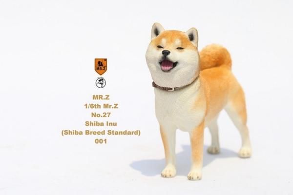 CSN626# 柴犬 Shiba Inu Breed Standard 犬 ドッグ コレクション