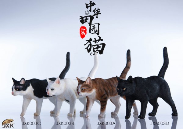 1/6 JxK.Studio JxK003 Cats 猫 - 1/6フィギュアの通販、予約なら トイザキュート Since 2008