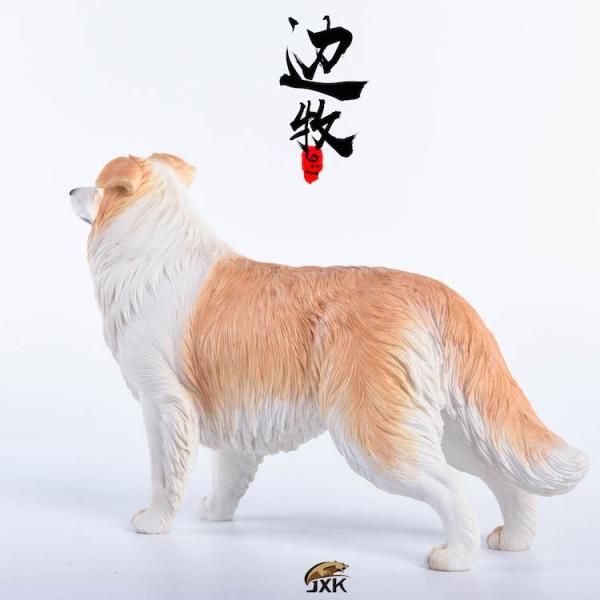 1/6 JxK.Studio Jxk006 イギリス ボーダー・コリー犬 - 1/6