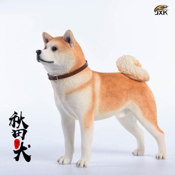 1/6 JxK.Studio Jxk007 日本秋田犬 - 1/6フィギュアの通販、予約