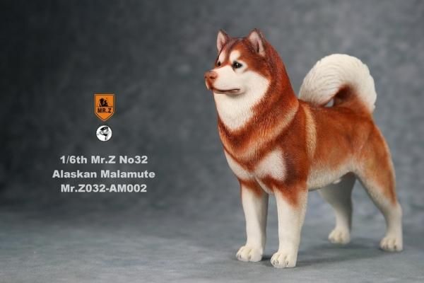 Mr.Z　1/6　アラスカン・マラミュート　3種 カラー選べます 動物 置物 フィギュア専門店 -ソダチトイズ / Mr.Z 1/6 アラスカン