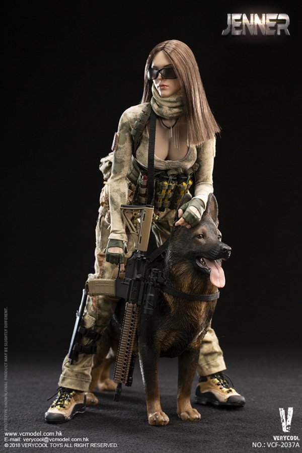 1/6 ベリークール VERYCOOL VCF-2037C ドイツ ジャーマン・シェパード 