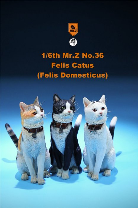 送料無料 1/6 Mr. Z Animal Model No.36 家猫 Felis Catus (all six 