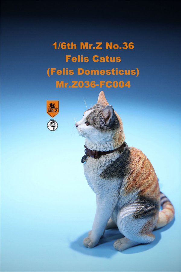 送料無料 1/6 Mr. Z Animal Model No.36 家猫 Felis Catus (all six