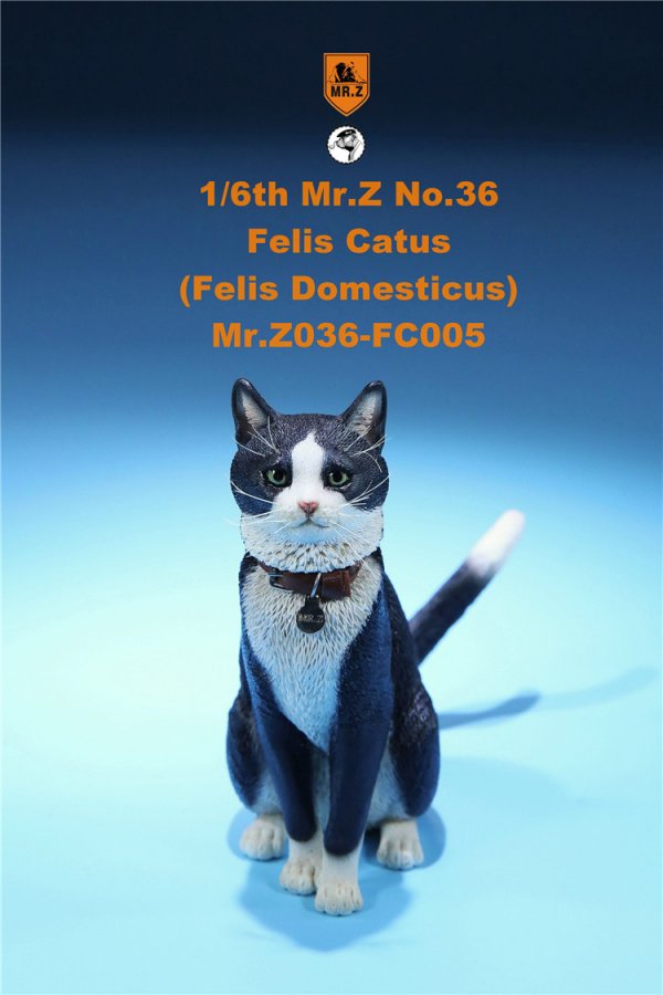 送料無料 1/6 Mr. Z Animal Model No.36 家猫 Felis Catus (all six