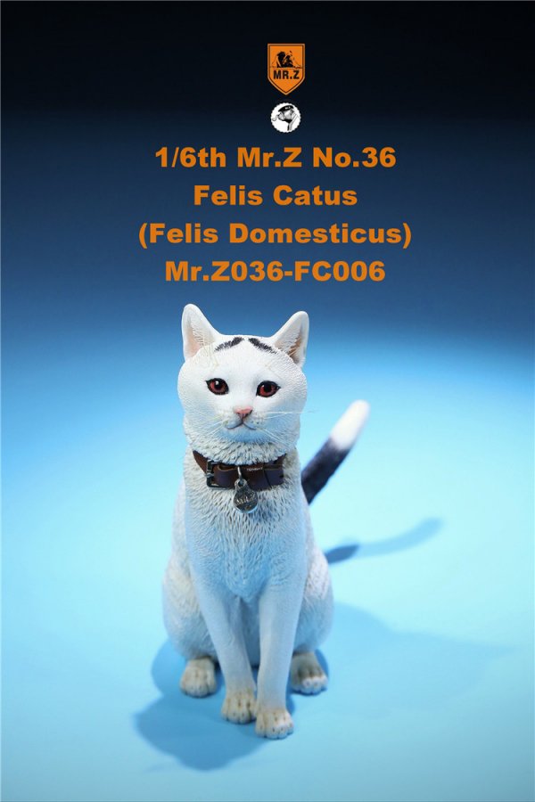 送料無料 1/6 Mr. Z Animal Model No.36 家猫 Felis Catus (all six