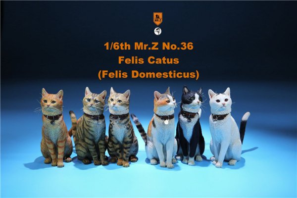 送料無料 1/6 Mr. Z Animal Model No.36 家猫 Felis Catus (all six