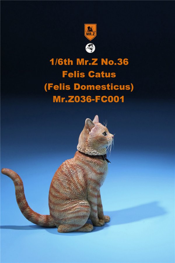 送料無料 1/6 Mr. Z Animal Model No.36 家猫 Felis Catus (all six